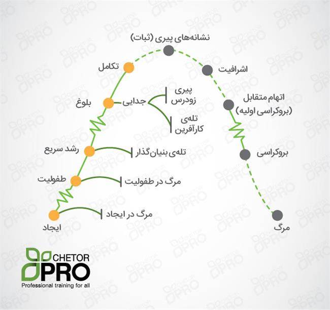 چرخه عمر سازمان