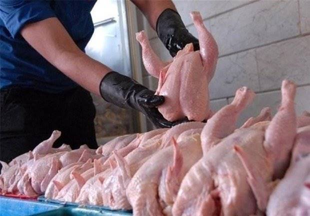 کاهش 12 درصدی جوجه ریزی/دولت در قیمت مرغ تجدیدنظر کند