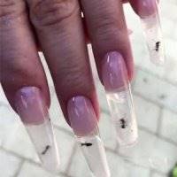 عکس/کاشت ناخن با مورچه زنده