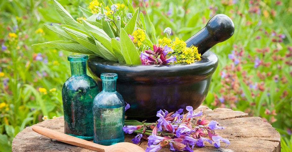 آشنایی با خواص کاسنی