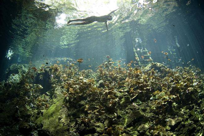 Cenote Dos Ojos