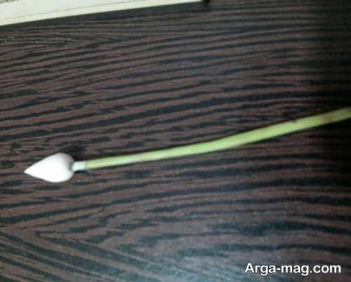 آموزش ساخت گل با خمیر