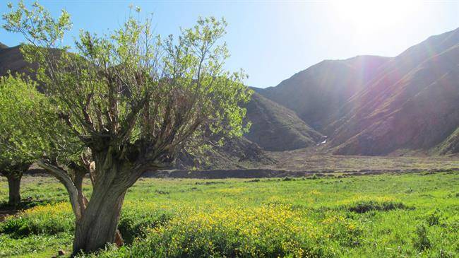 طبیعت گردی