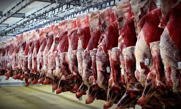 ثبات قیمت در بازار گوشت قرمز