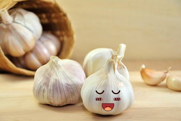 طبع سیر پخته چیست
