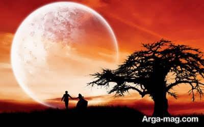 جمله های ناب برای روز عشق