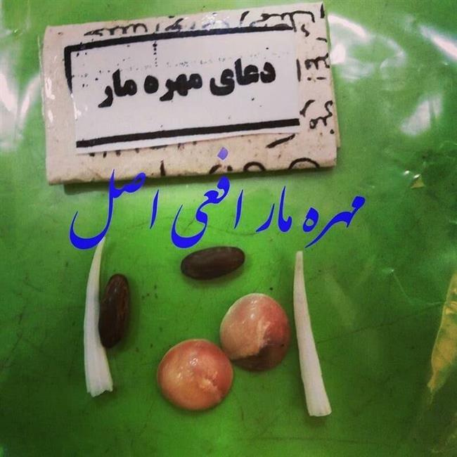 اجاره مهره «زبان‌بند» دادگاه با گارانتی کتبی هم آمد! +عکس