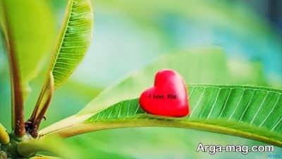 جمله های ناب عاشقانه