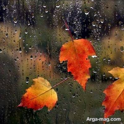 متن کوتاه آموزنده