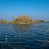 اجازه انتقال آب هورالعظیم به عراق داده نشود