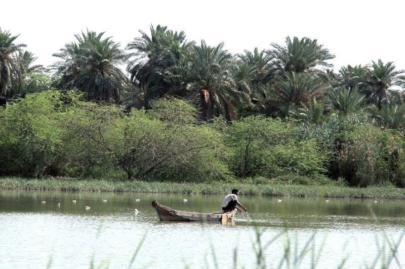 آبگیری 100 درصدی تالاب شادگان