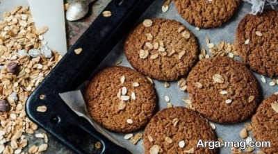طرز تهیه کوکی رژیمی