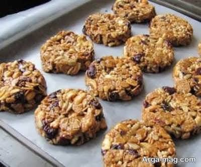 طرز تهیه کوکی رژیمی