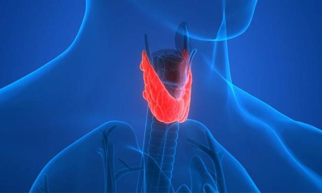 دانستنی‌هایی درباره غده تیروئید