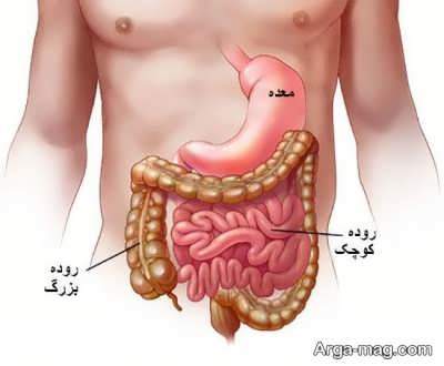 انواع عفونت روده