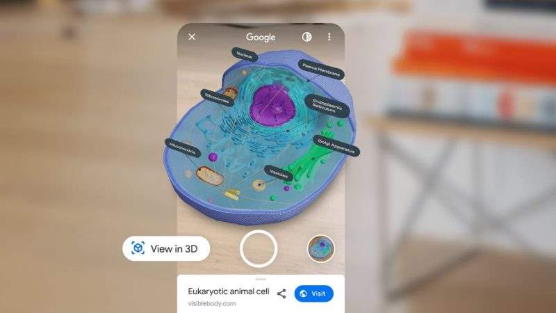 گوگل با مدل‌های سه بعدی به شما در یادگیری دروس کمک می‌کند