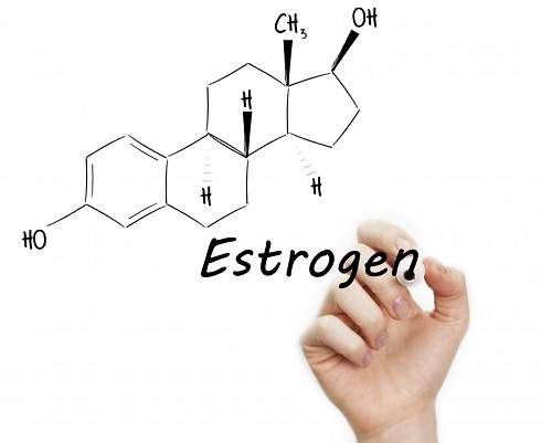 estrogen,استروژن