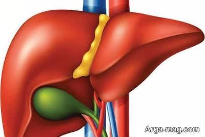 علایم نارسایی کبد و عوارضی که به دنبال دارد