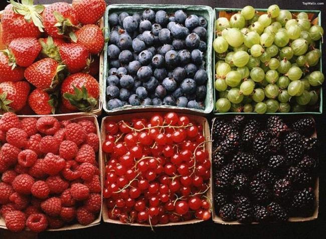 4 ماده طلایی برای افزایش طول عمر 4 ماده طلایی برای افزایش طول عمر