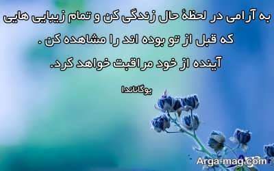 عباراتی حکیمانه از بزرگان