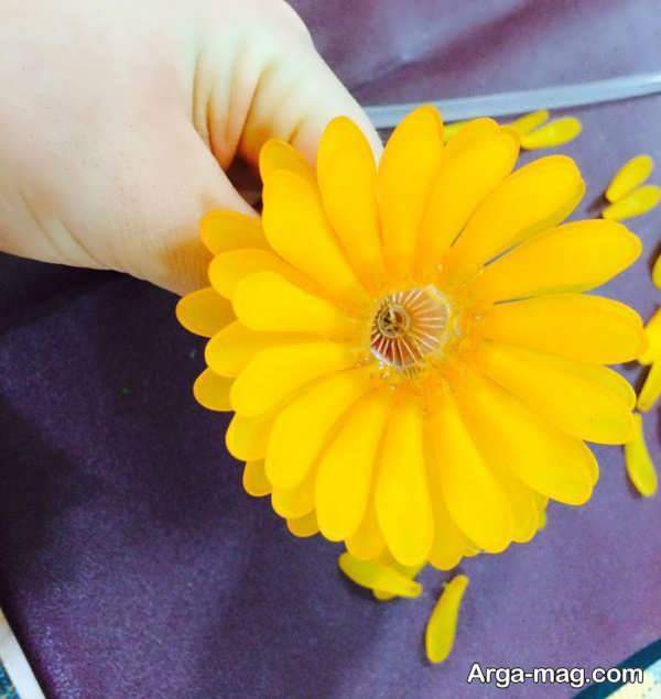 مدل گل کریستالی داودی