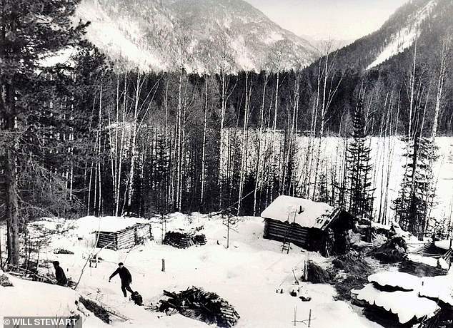 آگافیا لیکووا 76 ساله بعد از فرار خانواده اش به خاطر اتهامات مذهبی در سال 1936 در کوهستان های دوردست سیبری در روسیه زندگی می کند.