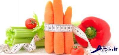 رژیم اتکینز