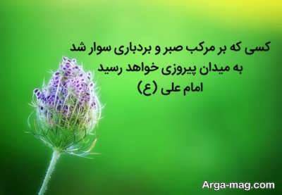 سخنان زیبای امام علی (ع)