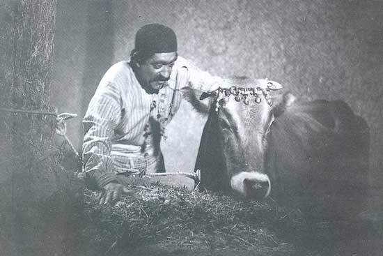 مهرجویی مهرجویی