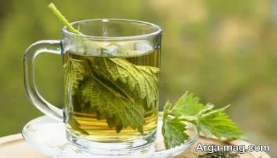خاصیت باور نکردنی عرق گزنه