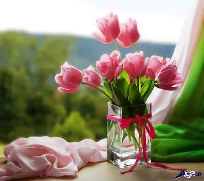 جملات امیدبخش زندگی