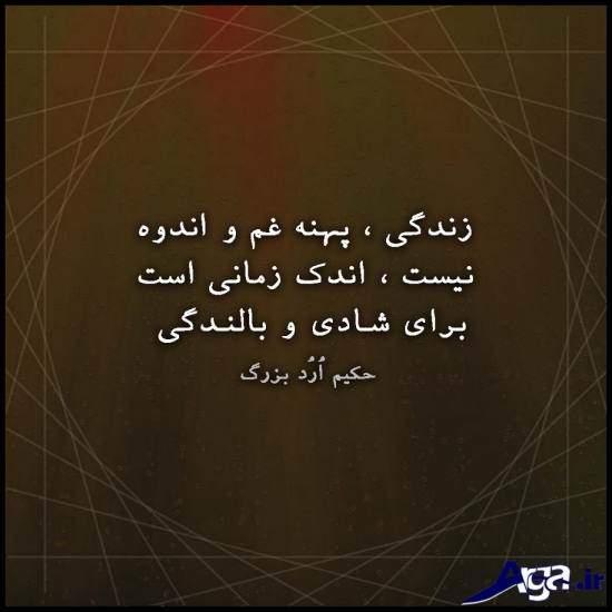 سخنان بزرگان در مورد زندگی