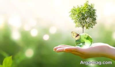 جملات زیبا درباره محیط زیست