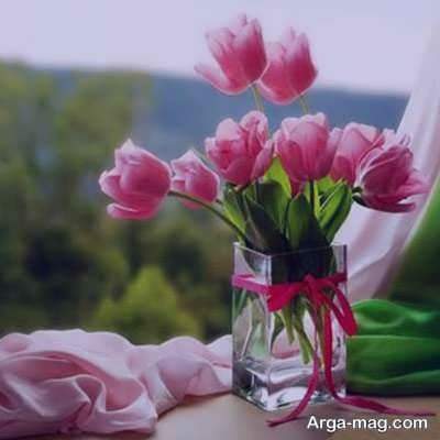 جملات زیبا در مورد زندگی