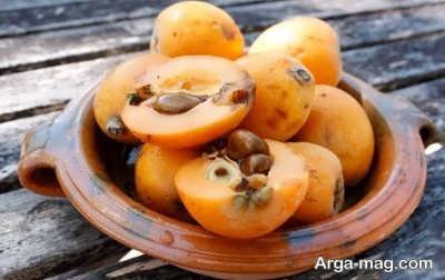 فواید هسته ازگیل برای مشکل دفع