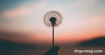 بهترین سخنان لقمان حکیم درباره موفقیت و زندگی