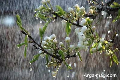 متن احساسی و زیبا در مورد باران