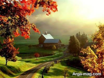 متن پرمحتوا و آرامش دهنده