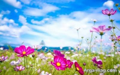 جملات آرامش دهنده و زیبا