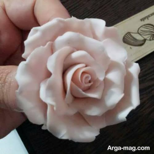 گل رز چینی زیبا و شیک