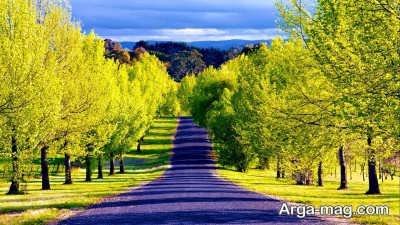 سخنان انگیزشی و دلنشین از بزرگان 