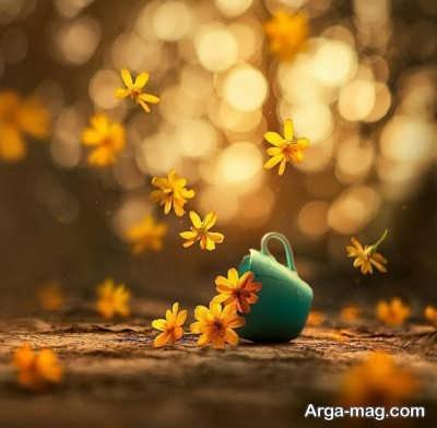 جمله های آموزنده و زیبا از گوته