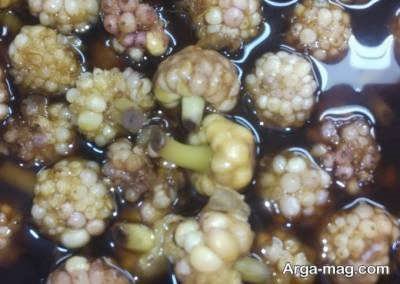 آشنایی با طرز اماده سازی ترشی گل سیر