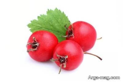 شناخت خواص عرق کیالک