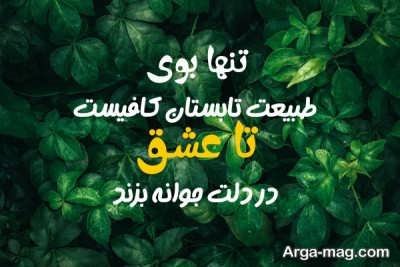 جملات خواندنی در مورد تابستان