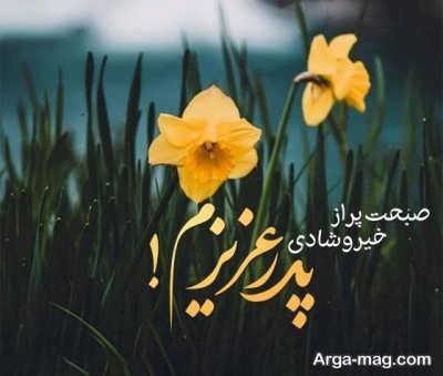 مجموعه ای از جملات صبح بخیر پدر