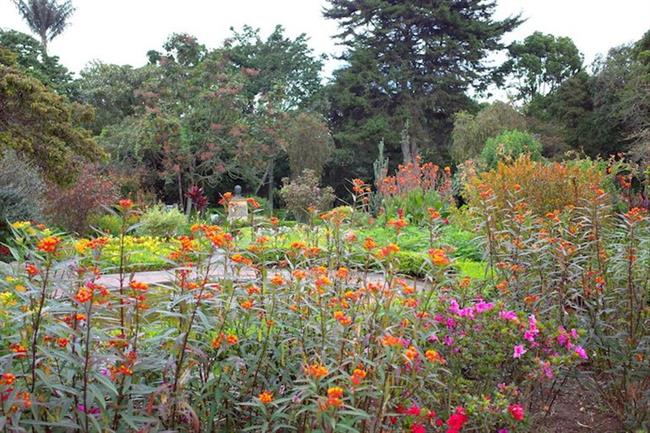 Jardin Botanico de Bogota