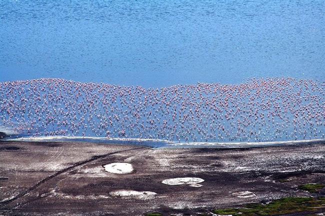 Lake Nakuru