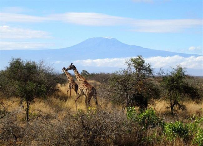 Amboseli National Park