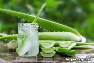 طرز تهیه ترشی آلوئه ورا خوشمزه یک چاشنی عالی برای غذاهای مختلف